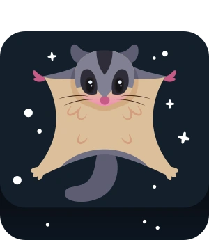 Sugar glider