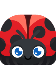 Ladybug