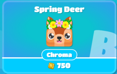 Spring Dragon in Shop Before Purchasing